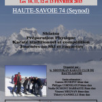 III Affich Karaté Ski 2015 PHOTO