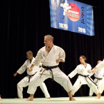 Katas Niju Shiho