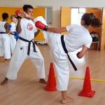 Exercice de kumité